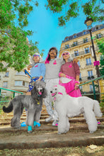 Charger l&#39;image dans la galerie, Sweat Caniche - Kaffa Coffee
